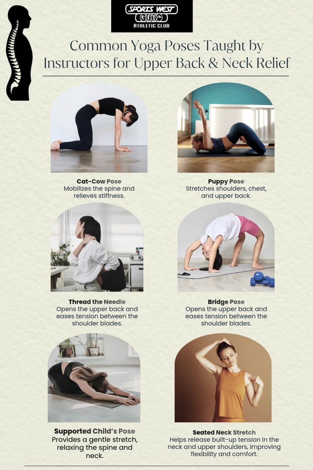 Olive Line Liquid Personal Skill Pinterest Pin